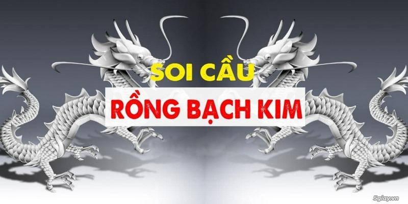 Rồng bạch kim